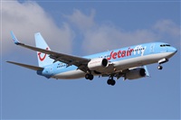 ©Alfonso Solís - Asociación Canary Islands Spotting. Click to see full size photo ©Alfonso Solís - Asociación Canary Islands Spotting. Click to see full size photo