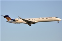 Rubn Gil - Noisy Spotters. Click to see full size photo