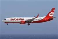 ©Alfonso Solís - Asociación Canary Islands Spotting. Click to see full size photo ©Alfonso Solís - Asociación Canary Islands Spotting. Click to see full size photo