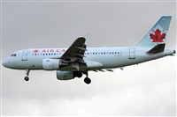 Rubn Gil - Noisy Spotters. Click to see full size photo