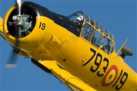 Jorge Guardia Aguila. Click to see full size photo