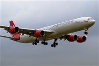 Javier de la Cruz - CANARY ISLANDS SPOTTING. Click to see full size photo