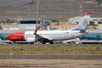 Javier de la Cruz - CANARY ISLANDS SPOTTING. Click to see full size photo