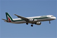 Alfonso Sols - Asociacin Canary Islands Spotting. Haz click para ampliar