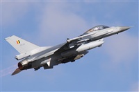 Alfonso Sols - Asociacin Canary Islands Spotting. Click to see full size photo
