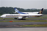 Rubn Gil - Noisy Spotters. Click to see full size photo