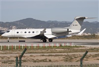 Miguel Alia - Noisy Spotters. Click to see full size photo