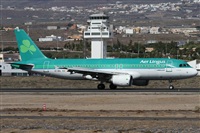 Alfonso Sols - Asociacin Canary Islands Spotting. Click to see full size photo