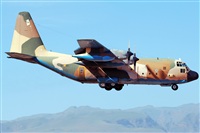 J. Victor Vega-Gran Canaria Spotters. Click to see full size photo