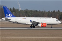 Miguel Alia - Noisy Spotters. Click to see full size photo