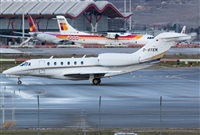Miguel Alia - Noisy Spotters. Click to see full size photo
