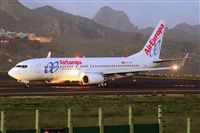 Miguel A. gueda Rguez.  (CANARY ISLANDS SPOTTING). Click to see full size photo
