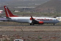 ©Alfonso Solís - Asociación Canary Islands Spotting. Click to see full size photo ©Alfonso Solís - Asociación Canary Islands Spotting. Click to see full size photo