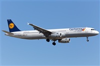Miguel Alia - Noisy Spotters. Click to see full size photo