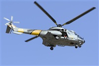 Paco Muoz Arencibia - Gran Canaria Spotters. Click to see full size photo