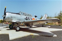 Adolfo Bento - Gran Canaria Spotters. Click to see full size photo