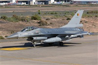 Adolfo Bento - Gran Canaria Spotters. Click to see full size photo