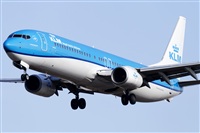Rubn Gil - Noisy Spotters. Click to see full size photo