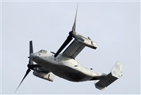 Alejandro H.L - Gran Canaria Spotters. Click to see full size photo