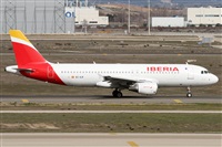 Alfonso Sols - Asociacin Canary Islands Spotting. Haz click para ampliar