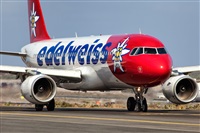 Javier de la Cruz - CANARY ISLANDS SPOTTING. Click to see full size photo