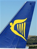 Nacho Rodriguez - Canary Islands Spotting. Click to see full size photo