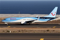 Alfonso Sols - Asociacin Canary Islands Spotting. Click to see full size photo