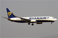 Alfonso Sols - Asociacin Canary Islands Spotting. Haz click para ampliar