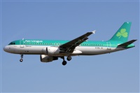 ©Alfonso Solís - Asociación Canary Islands Spotting. Click to see full size photo ©Alfonso Solís - Asociación Canary Islands Spotting. Click to see full size photo