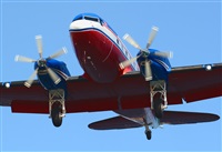 ©Alejandro H.L - Gran Canaria Spotters. Click to see full size photo ©Alejandro H.L - Gran Canaria Spotters. Click to see full size photo