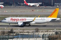 Alfonso Sols - Asociacin Canary Islands Spotting. Click to see full size photo