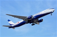 Miguel A. gueda Rguez.  (CANARY ISLANDS SPOTTING). Click to see full size photo