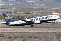 ©Román A. Pérez. Click to see full size photo ©Román A. Pérez. Click to see full size photo