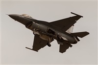 Javier de la Cruz - CANARY ISLANDS SPOTTING. Click to see full size photo
