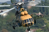 Tams. Click to see full size photo