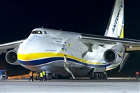 Tams. Click to see full size photo