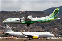 ©Román A. Pérez. Click to see full size photo ©Román A. Pérez. Click to see full size photo