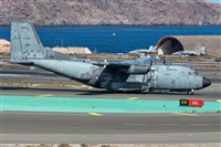 Adolfo Bento - Gran Canaria Spotters. Click to see full size photo