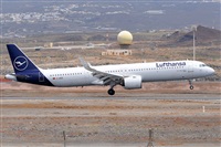 Miguel A. gueda Rguez.  (CANARY ISLANDS SPOTTING). Click to see full size photo