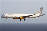 ©Alfonso Solís - Asociación Canary Islands Spotting. Click to see full size photo ©Alfonso Solís - Asociación Canary Islands Spotting. Click to see full size photo