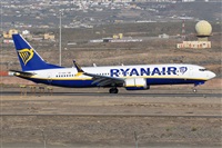 Miguel A. gueda Rguez.  (CANARY ISLANDS SPOTTING). Click to see full size photo