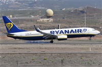 Miguel A. gueda Rguez.  (CANARY ISLANDS SPOTTING). Click to see full size photo