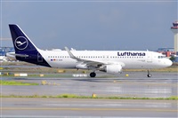 Miguel A. gueda Rguez.  (CANARY ISLANDS SPOTTING). Click to see full size photo