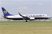 Miguel A. gueda Rguez.  (CANARY ISLANDS SPOTTING). Click to see full size photo