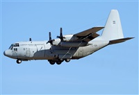 Alejandro H.L - Gran Canaria Spotters. Click to see full size photo