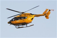 Adrin Alonso Lemes - Lanzarote Spotters. Haz click para ampliar