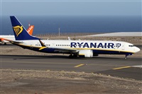 ©Alfonso Solís - Asociación Canary Islands Spotting. Click to see full size photo ©Alfonso Solís - Asociación Canary Islands Spotting. Click to see full size photo