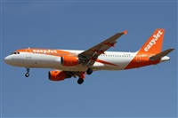 Alfonso Sols - Asociacin Canary Islands Spotting. Click to see full size photo