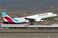 ©Alfonso Solís - Asociación Canary Islands Spotting. Click to see full size photo ©Alfonso Solís - Asociación Canary Islands Spotting. Click to see full size photo