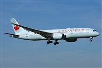 ©Guillermo García del Alamo. Click to see full size photo ©Guillermo García del Alamo. Click to see full size photo